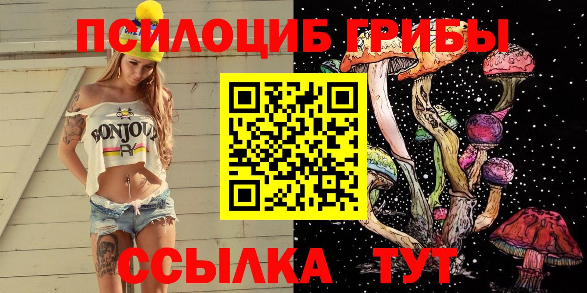 Псилоцибиновые грибы прущие грибы  купить наркотики сайты  Богданович  Вход с VPN 