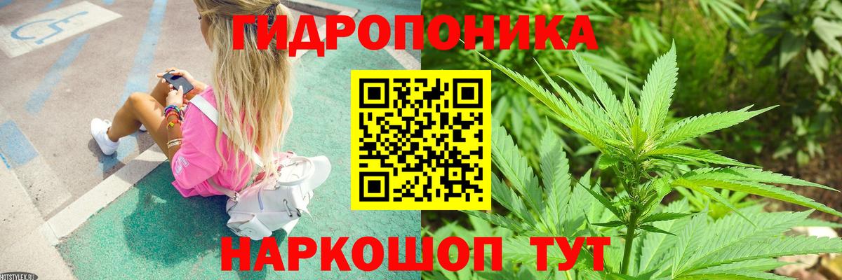 Марихуана сатива  Бошки Шишки гибрид  Конопля конопля  Конопля ГИДРОПОН  Богданович  Вход с VPN 